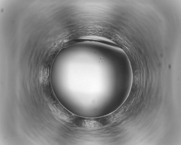 X0000088220605200705151415