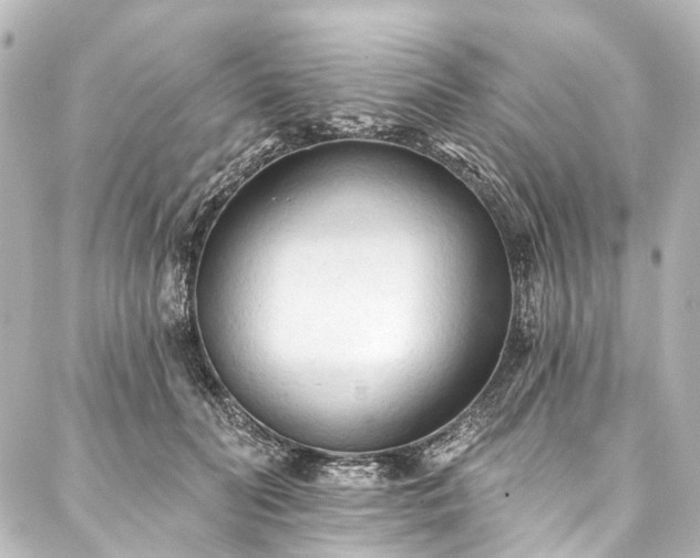 X0000088220606200705151415