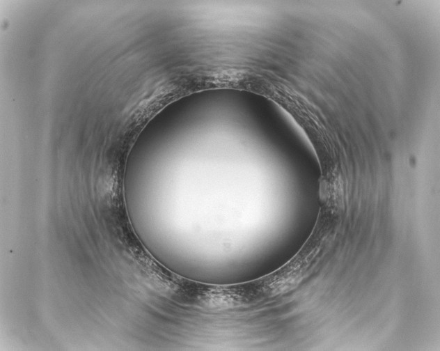 X0000088220608200705151415