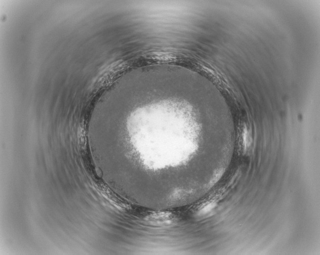 X0000088220609200705151415