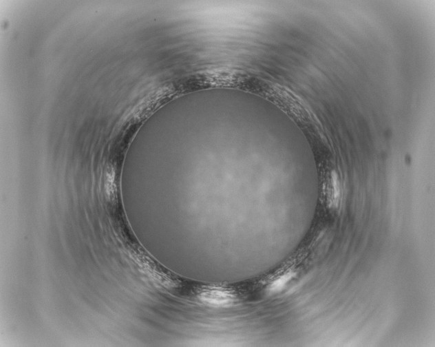 X0000088220610200705151415