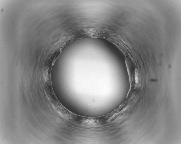 X0000088220611200705151415