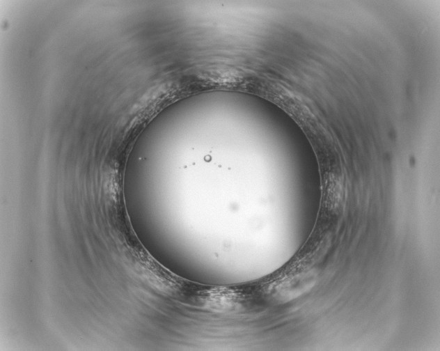 X0000088220612200705151415