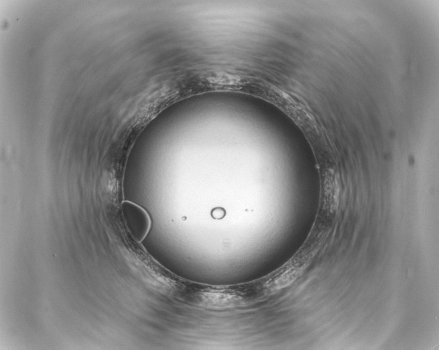 X0000088220614200705151415