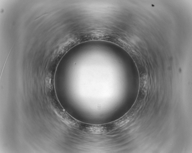 X0000088220615200705151415