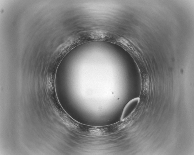 X0000088220616200705151415