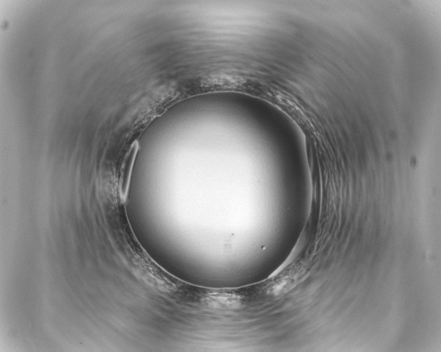 X0000088220617200705151415