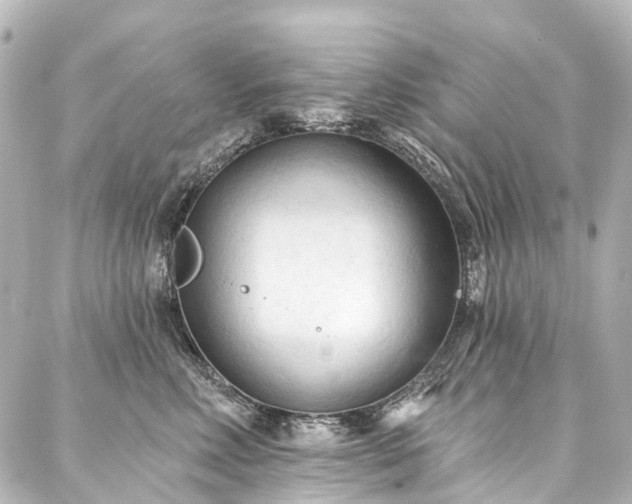 X0000088220618200705151415