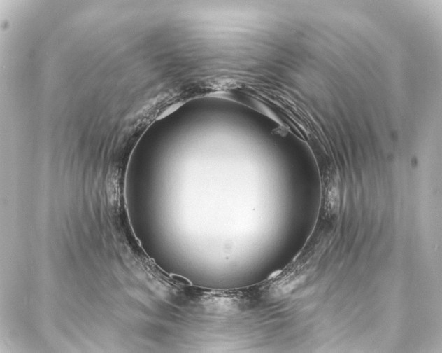 X0000088220620200705151415