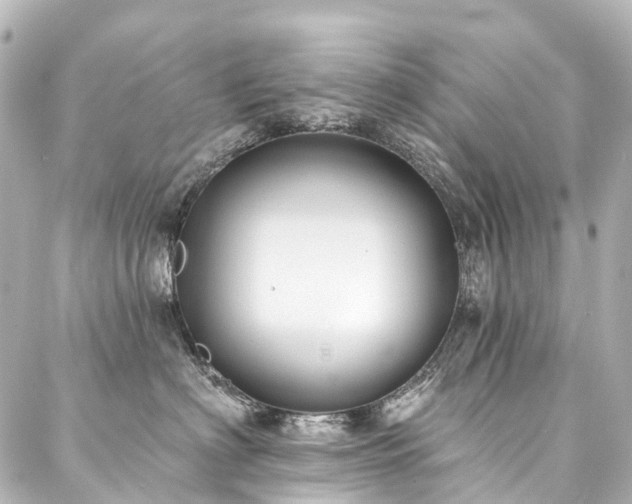 X0000088220622200705151415