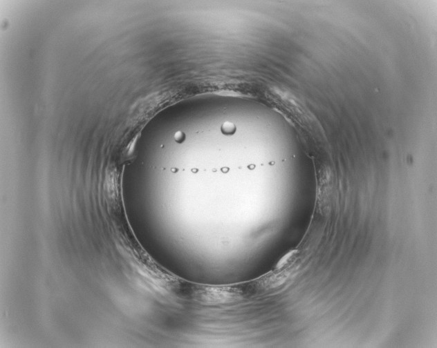 X0000088220623200705151415