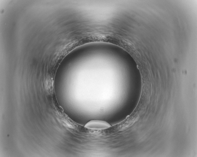 X0000088220624200705151415