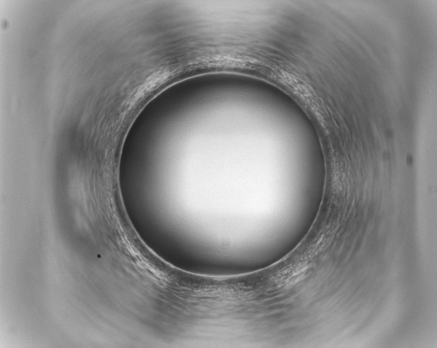 X0000088220625200705151414