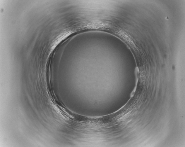 X0000088220626200705151414