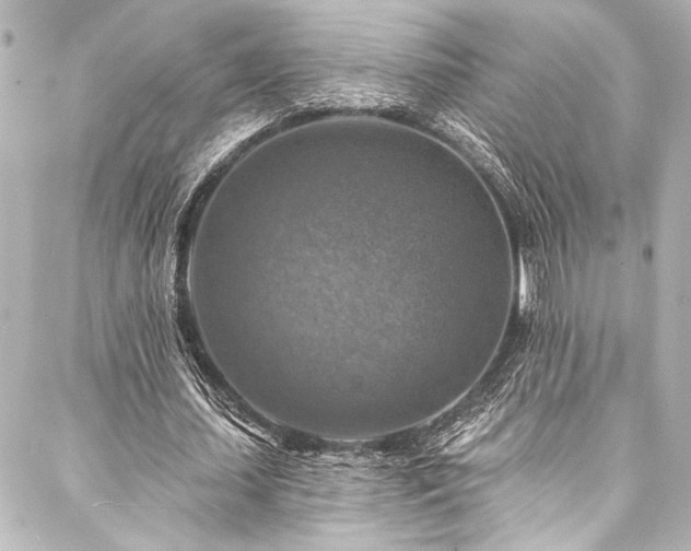 X0000088220627200705151414