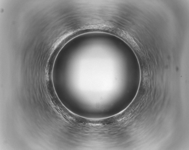 X0000088220628200705151414