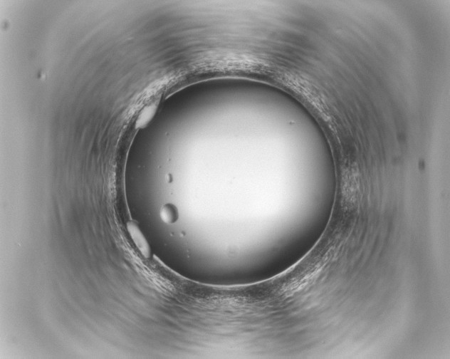 X0000088220629200705151414