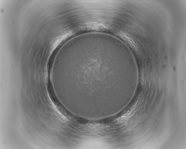 X0000088220630200705151414