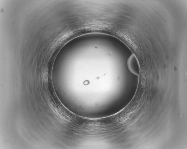 X0000088220631200705151414