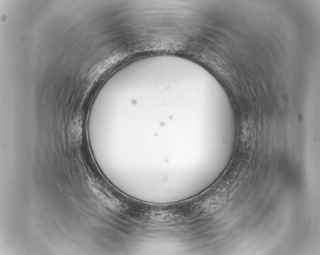 X0000088220632200705151414