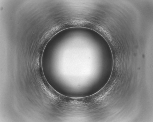 X0000088220633200705151414