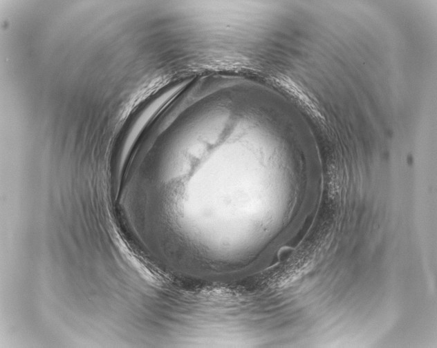 X0000088220634200705151414