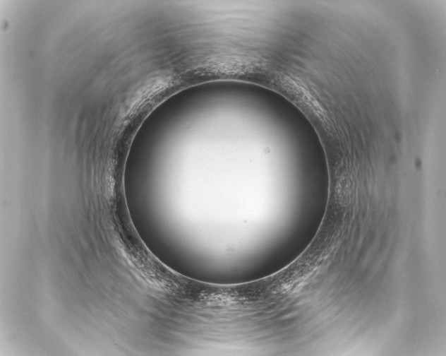 X0000088220635200705151414