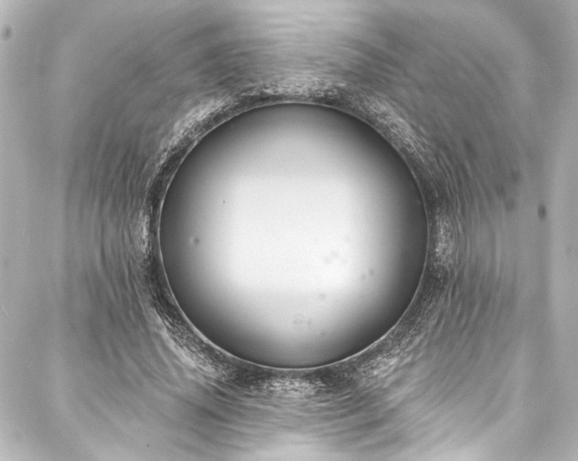 X0000088220636200705151414