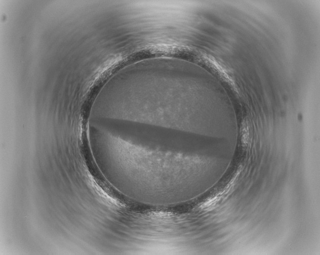 X0000088220637200705151414