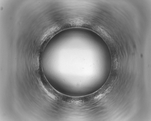 X0000088220638200705151414