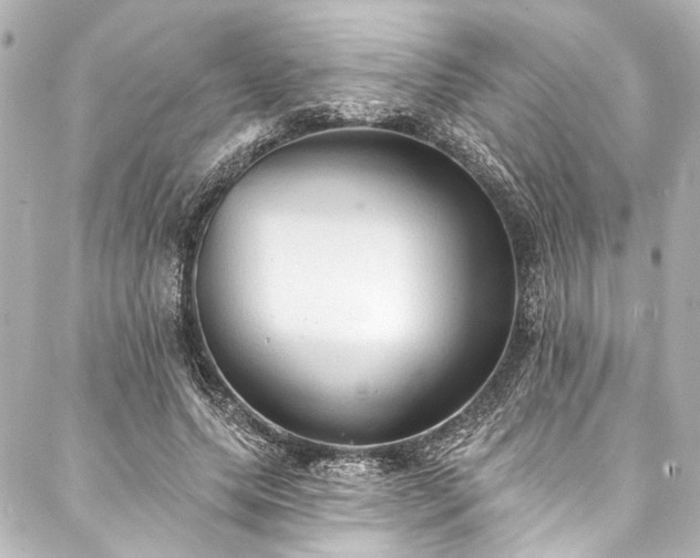 X0000088220639200705151414