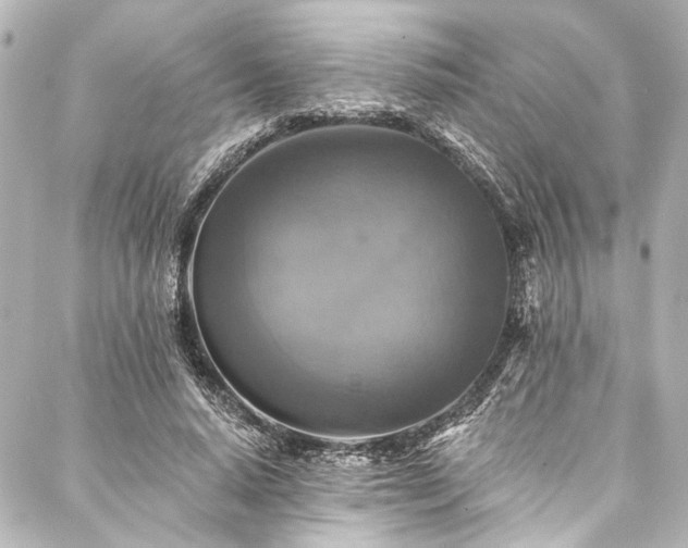 X0000088220640200705151414