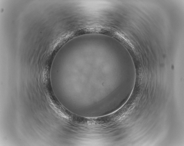 X0000088220641200705151414