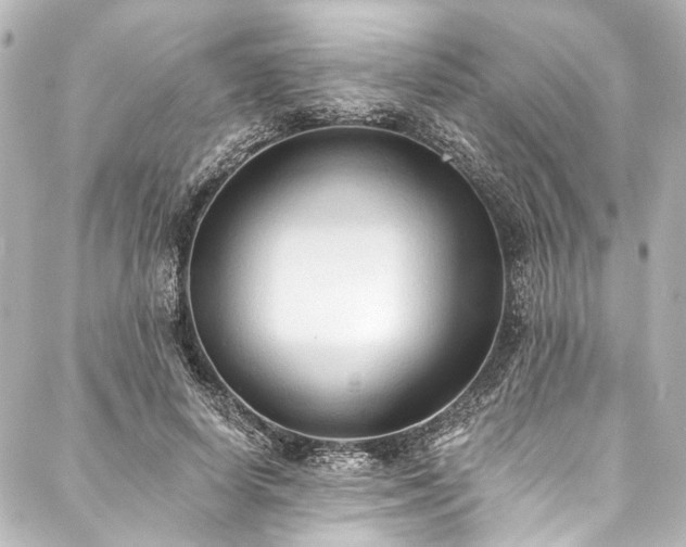 X0000088220642200705151414