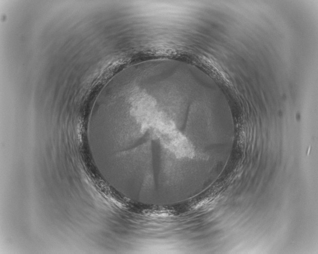 X0000088220643200705151414