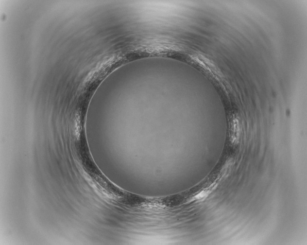 X0000088220644200705151414