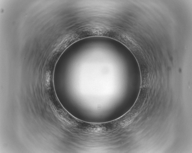 X0000088220646200705151414