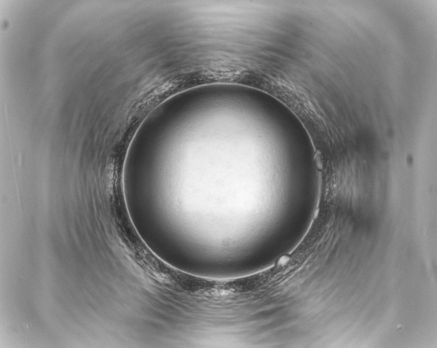 X0000088220647200705151414