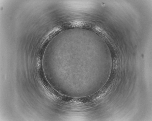 X0000088220648200705151414