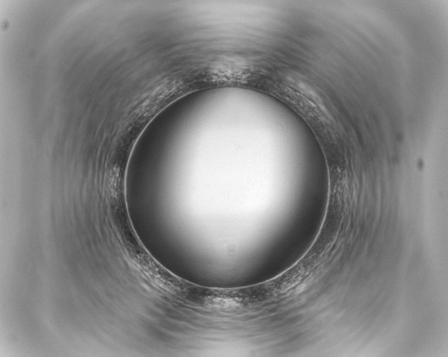 X0000088220649200705151414