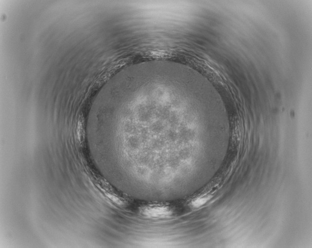 X0000088220651200705151414