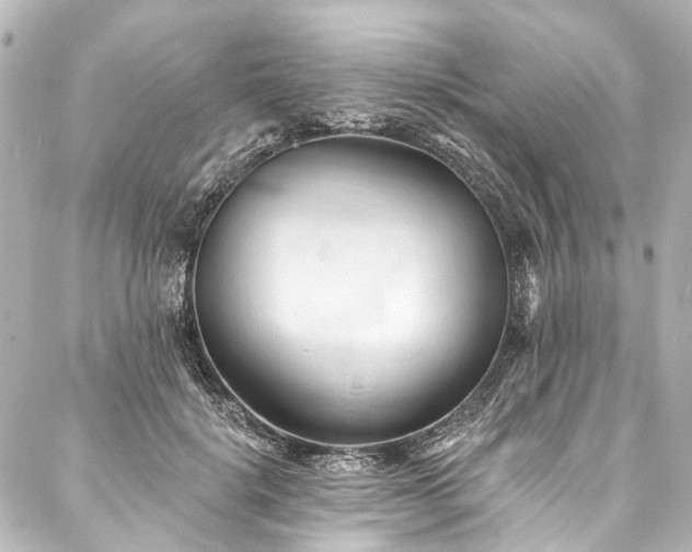 X0000088220652200705151414