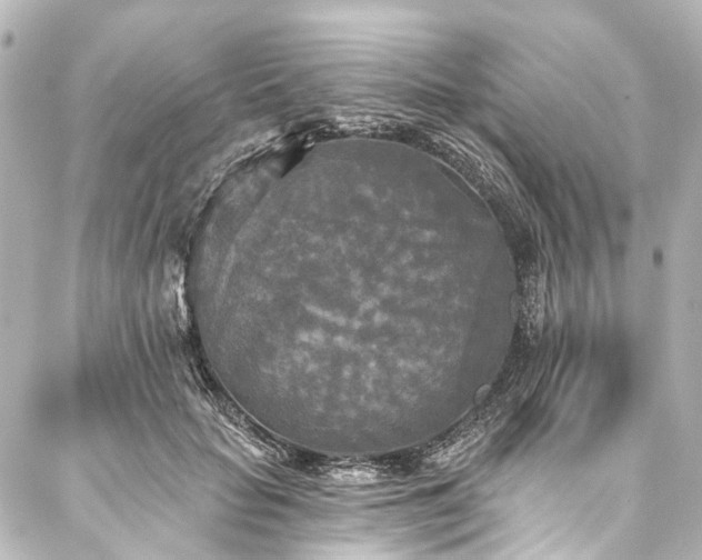 X0000088220653200705151414