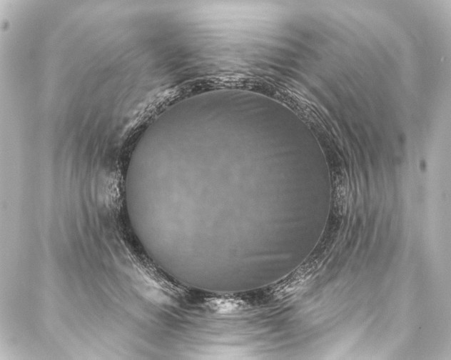 X0000088220654200705151414