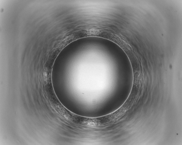 X0000088220655200705151414