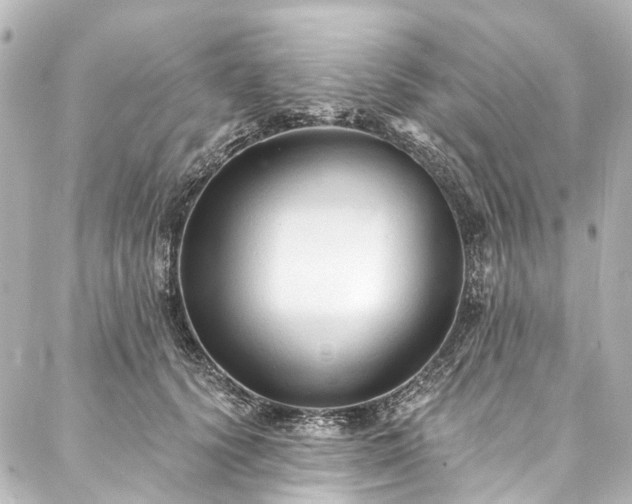 X0000088220656200705151414