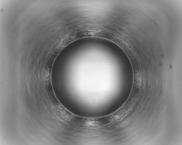 X0000088220657200705151414