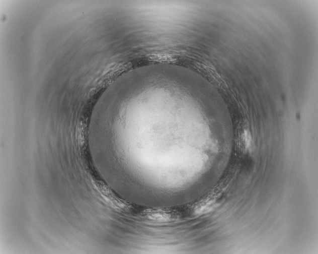 X0000088220658200705151414