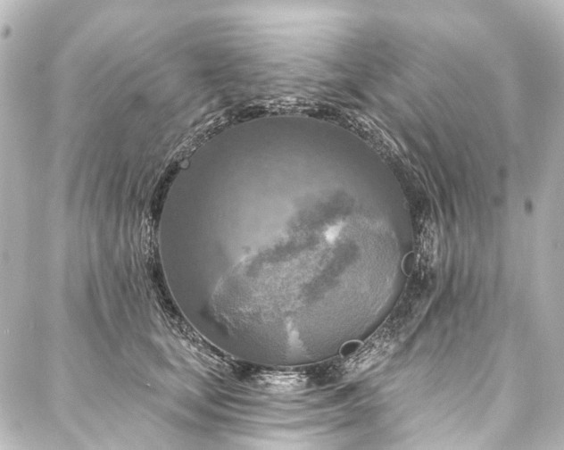 X0000088220659200705151414