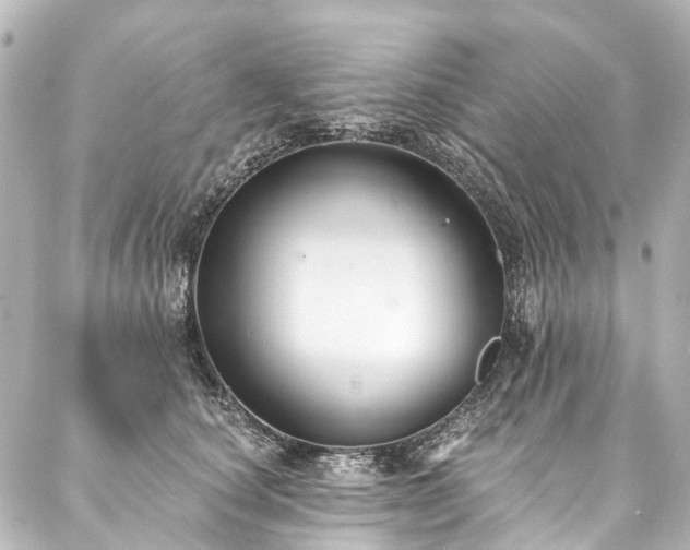 X0000088220660200705151414